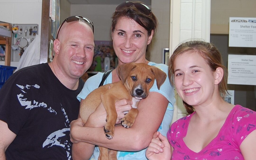 Cutter with his new family