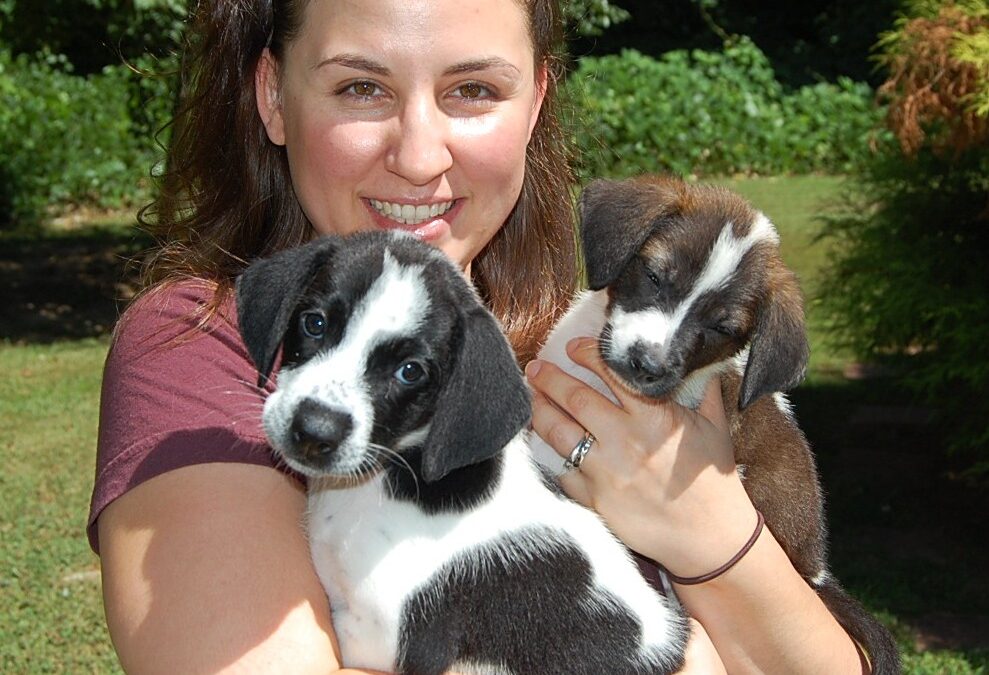 D.C. and Tellie heading out to their new forever home!