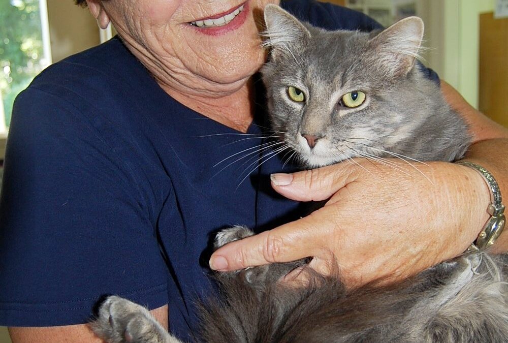 Tommy getting hugs from his new family